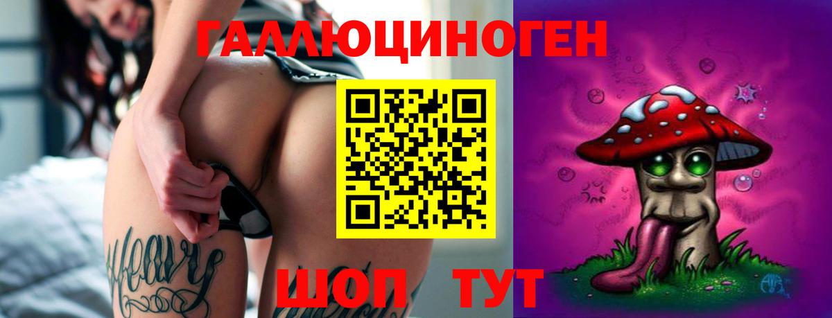 Галлюциногенные грибы Psilocybe  Псилоцибиновые грибы Psilocybine cubensis  Вход с VPN  Сыктывкар 