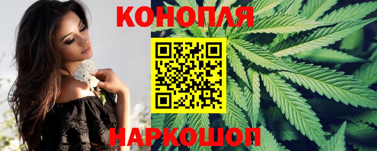 Сыктывкар  Марихуана тримм  Вход с VPN  Шишки марихуана OG Kush 
